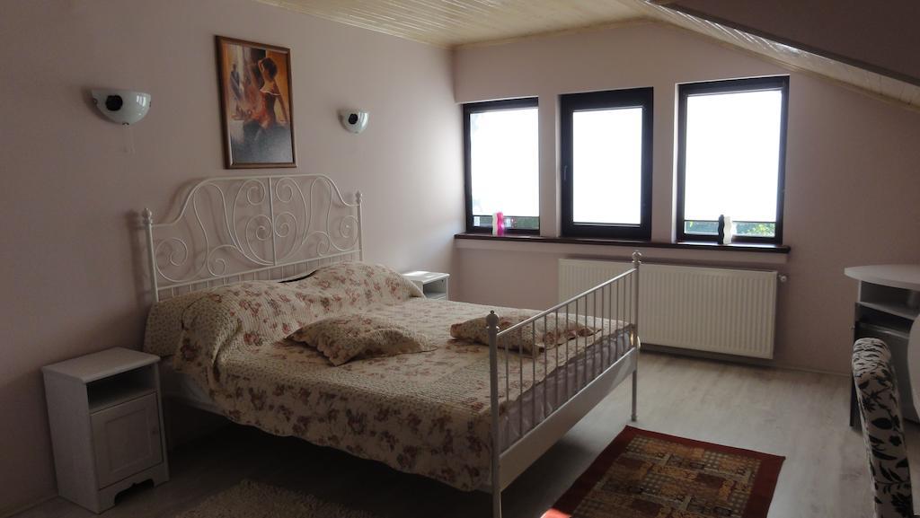 Vila Europa Sarata-Monteoru Room photo